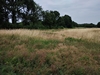 keersop20230628