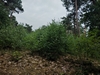 keersop20230629