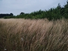 keersop20230629