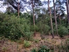 keersop20230630