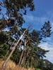 keersop20230714