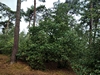 keersop20230727