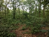 leersop20230730