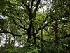 leersop20230730