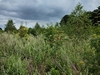leersop20230730