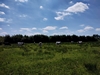 keersop20230810