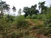 keersop20230812
