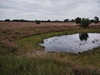 dommel20230822