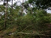 keersopIMG_20230901