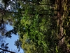 keersopIMG_20230901