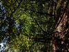 keersopIMG_20230901