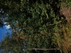 keersopIMG_20230901