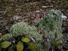 keersopIMG_20230901