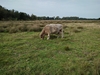 keersop20231002