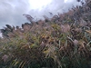 keersopIMG_20231003
