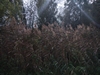 keersopIMG_20231003