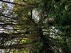 keersopIMG_20231003