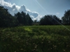 keersopIMG_20231003