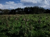 keersopIMG_20231003