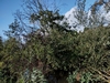 keersopIMG_20231003