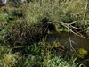 keersopIMG_20231003