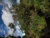 keersopIMG_20231003
