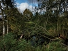 keersopIMG_20231003