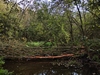 keersopIMG_20231003