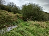 beekloop20231019