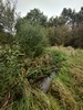 beekloop20231019