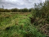 beekloop20231019