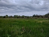 beekloop20231019