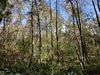 beekloop20231021