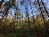 beekloop20231021