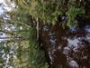 beekloop20231021