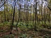 beekloop20231021