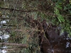beekloop20231021
