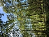 beekloop20231021