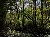 beekloop20231021