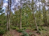 beekloop20231021