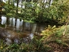 beekloop20231021
