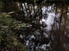 beekloop20231021
