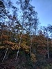 keersopIMG_20231029