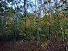 keersopIMG_20231029
