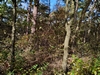 keeersop20231112
