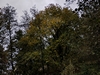 keersop20231116