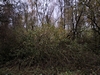 keersop20231116