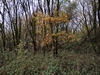keersop20231116