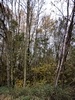 keersop20231116