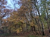 keersop20231130